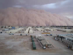 Desert